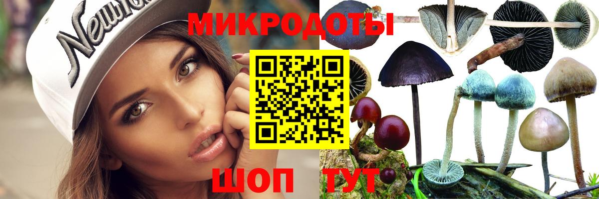 Псилоцибиновые грибы Cubensis Биробиджан